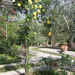 Lidia Bed & Breakfast 4*