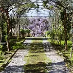 Lidia Sorrento