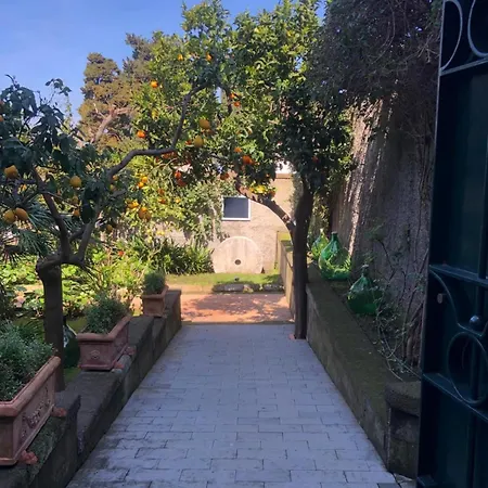 Lidia 住宿加早餐酒店 索伦托