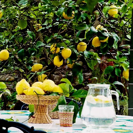 Lidia 4* סורנטו