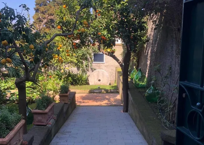 Lidia Bed & Breakfast Sorrento